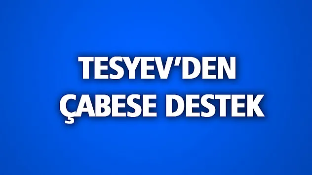 TESYEVDEN ÇABESE DESTEK