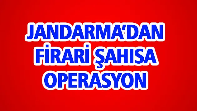 Jandarma'dan firari şahısa operasyon