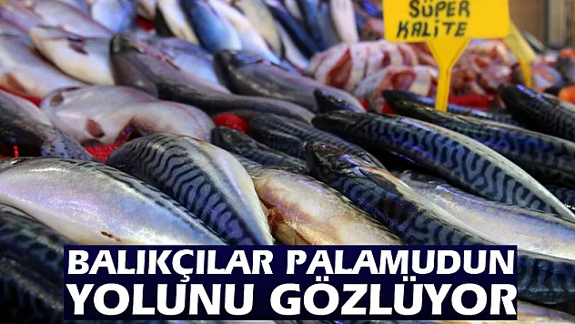 Balıkçılar palamudun yolunu gözlüyor