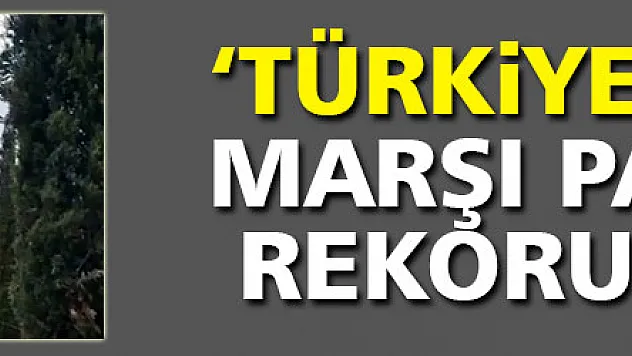 'Türkiyem İçin' marşı paylaşım rekoru kırıyor