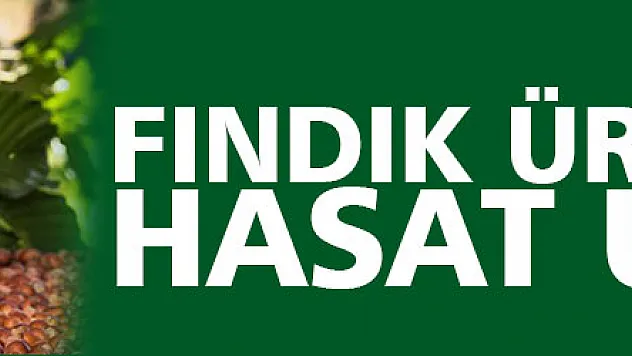 Fındık üreticisine hasat uyarısı