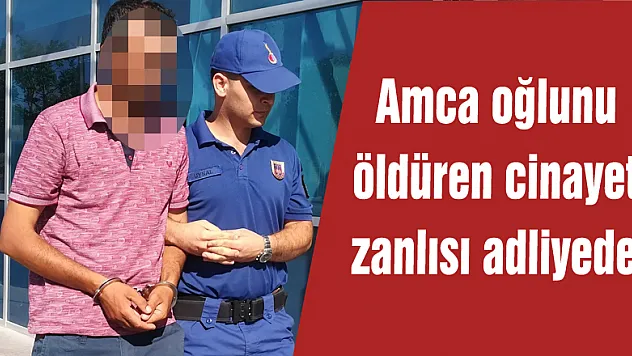  Amca oğlunu öldüren cinayet zanlısı adliyede 