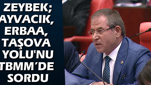 ZeybekAyvacık, Erbaa, Taşova Yolu'nu TBMM'de sordu
