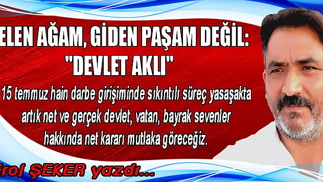 DEVLET AKLI
