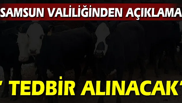 Samsun Valiliğinden hayvan yüklü gemilerle ilgili açıklama