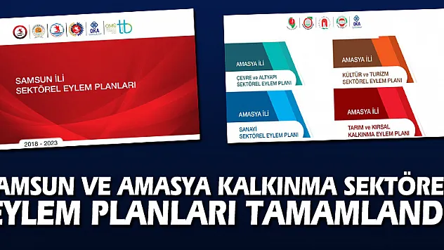 Samsun ve Amasya Kalkınma Sektörel Eylem Planları tamamlandı.