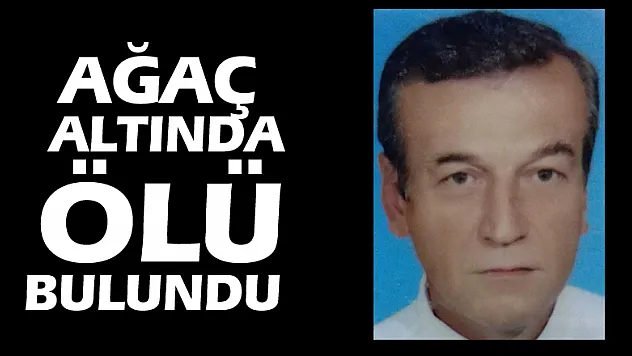 Ağaç altında ölü bulundu