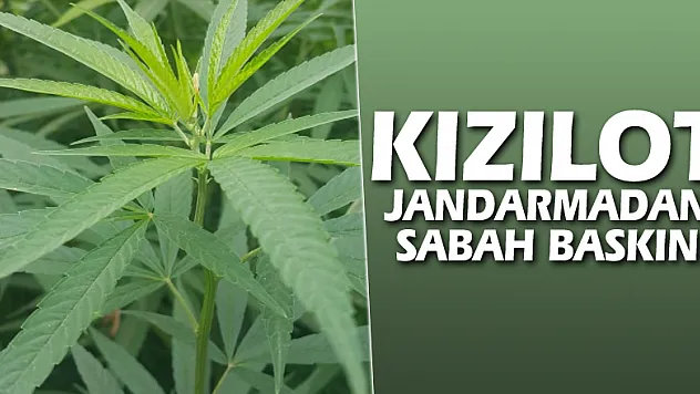 Kızılot Jandarmadan Sabah baskını