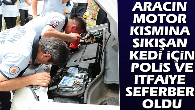 Aracın motor kısmına sıkışan kedi için polis ve itfaiye seferber oldu