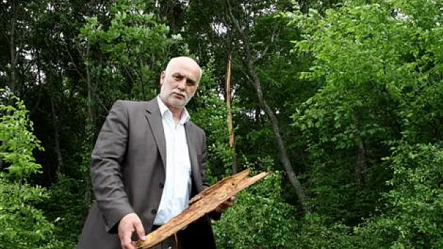 At çifliğine yıldırım düştü