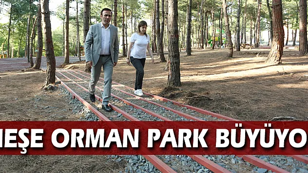 Meşe Orman Park büyüyor