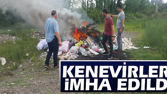 Kenevirler imha edildi