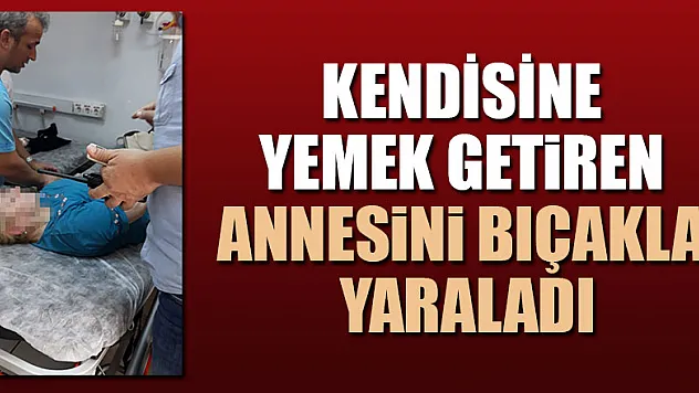 Kendisine yemek getiren annesini bıçakla yaraladı
