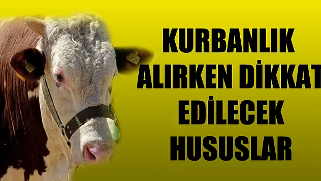 Kurbanlık alırken dikkat edilecek hususlar 