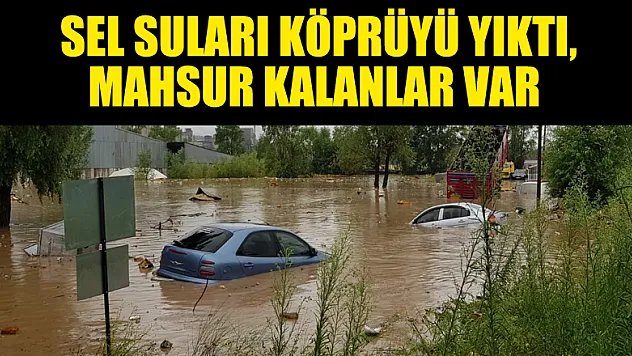 Ordu'da sel suları köprüyü yıktı, mahsur kalanlar var 