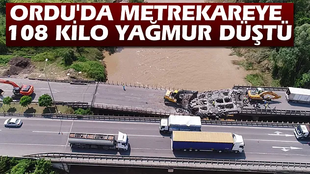 Ordu'da metrekareye 108 kilo yağmur düştü