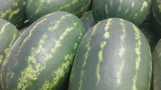 Tarıma destek yüz güldürüyor