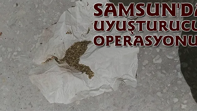 Samsun'da uyuşturucu operasyonu: 12 gözaltı