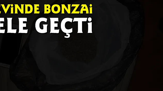 Evinde bonzai ele geçti