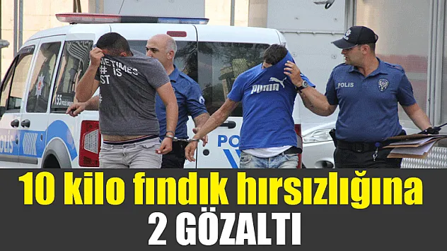 10 kilo fındık hırsızlığına 2 gözaltı 