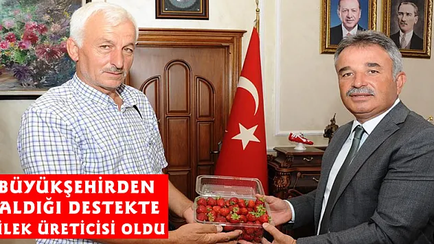 Büyükşehirden aldığı destekte çilek üreticisi oldu 