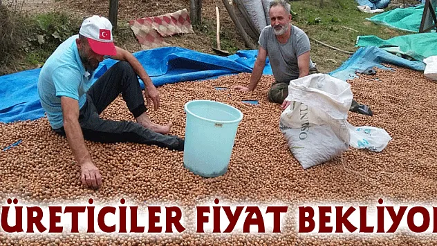ÜRETİCİLER FİYAT BEKLİYOR