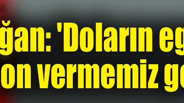 Erdoğan: 'Doların egemenliğine son vermemiz gerekiyor'