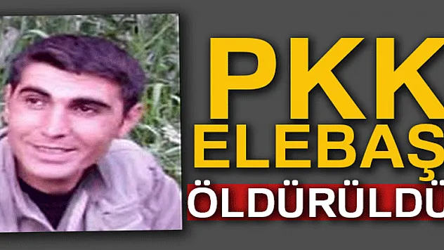 İçişleri Bakanlığı açıkladı! Yeşil listedeki terörist etkisiz hale getirildi