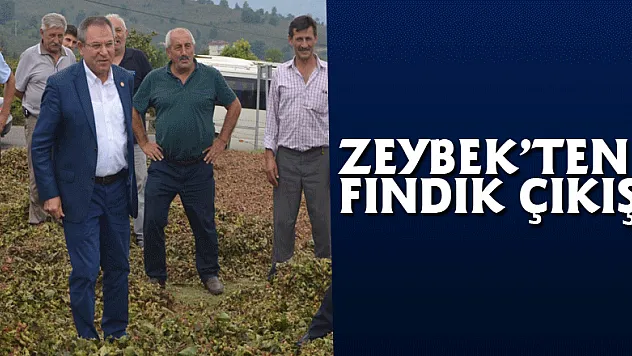 Zeybek'ten Fındık çıkışı