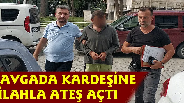 Kavgada kardeşine silahla ateş açtı 