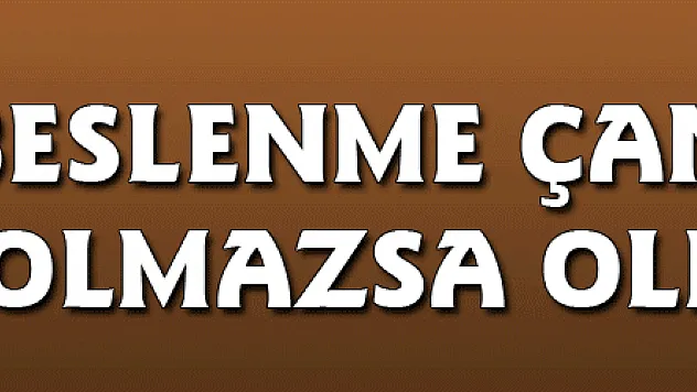 Beslenme çantasının olmazsa olmazları