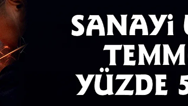 Sanayi üretimi Temmuz'da yüzde 5,6 arttı
