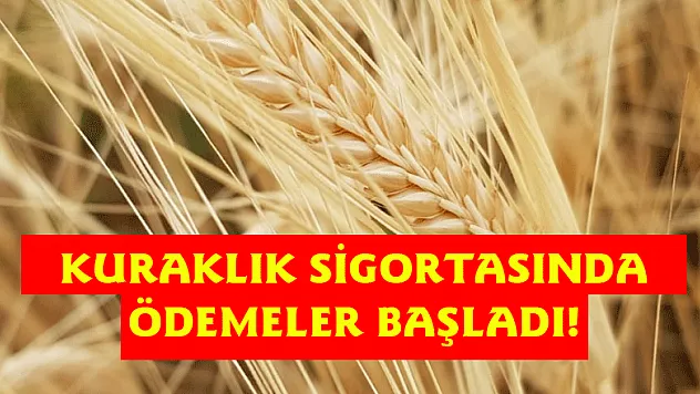KURAKLIK SİGORTASINDA ÖDEMELER BAŞLADI!
