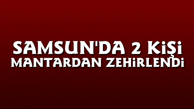 Samsun'da 2 kişi mantardan zehirlendi