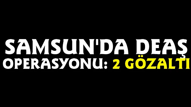 Samsun'da DEAŞ operasyonu: 2 gözaltı