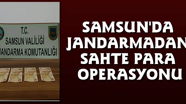 Samsun'da Jandarmadan sahte para operasyonu
