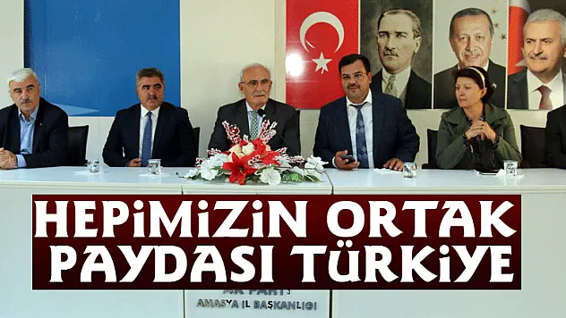 'Hepimizin ortak paydası Türkiye'