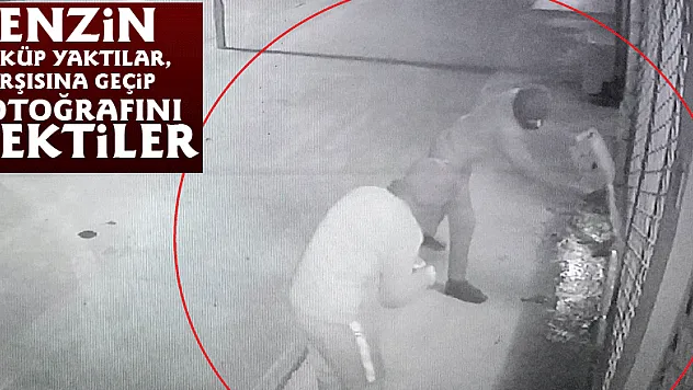 Benzin döküp yaktılar, karşısına geçip fotoğrafını çektiler