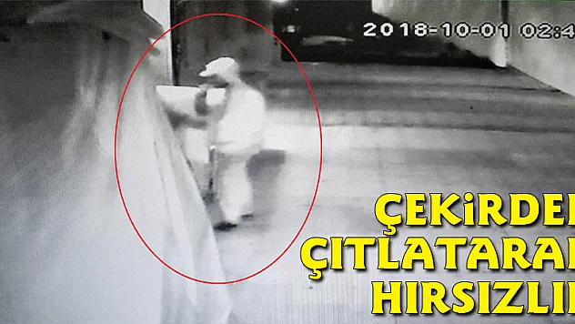 Çekirdek çıtlatarak hırsızlık