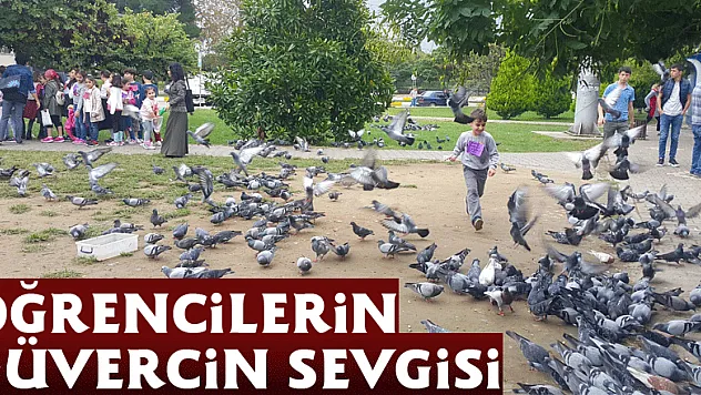 Öğrencilerin güvercin sevgisi