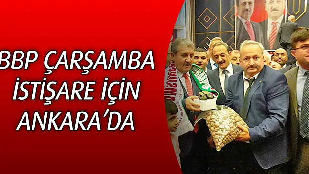 BBP Çarşamba İstişare için Ankara'da