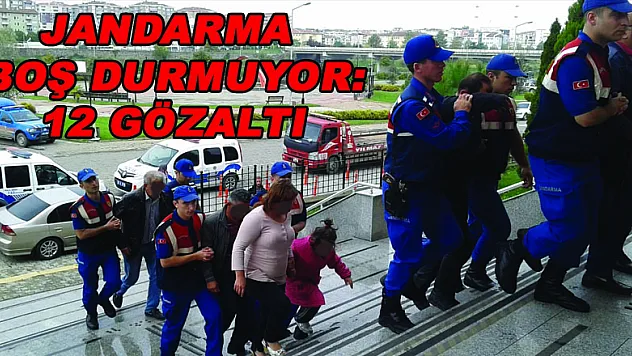 Jandarma boş durmuyor:12 gözaltı