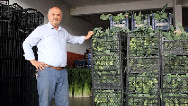 Samsunlu komisyoncular: 'Arz talep doğrultusunda fiyatlar belirlenir'