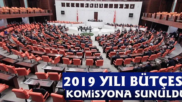 2019 yılı bütçesi TBMM'de