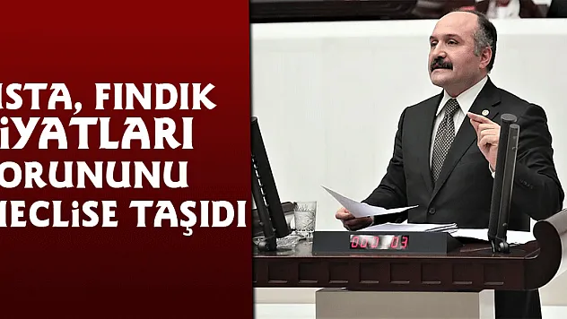 Usta, fındık fiyatları sorununu meclise taşıdı
