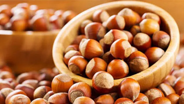 'Geç kalınmış da olsa TMO, fındık alımına girmelidir' 