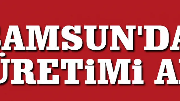 Samsun'da çilek üretimi artıyor