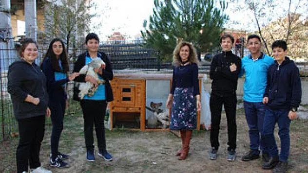 Liseyi tavuklarıyla okuyor