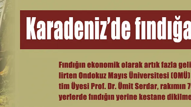 Karadeniz'de fındığa alternatif kestane 
