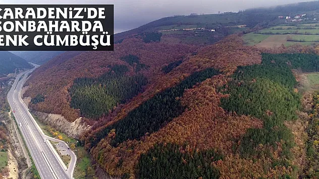Karadeniz'de sonbaharda renk cümbüşü